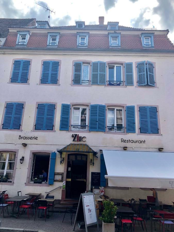 Sous Les Toits Du Zinc - Climatise Apartment Colmar Exterior photo